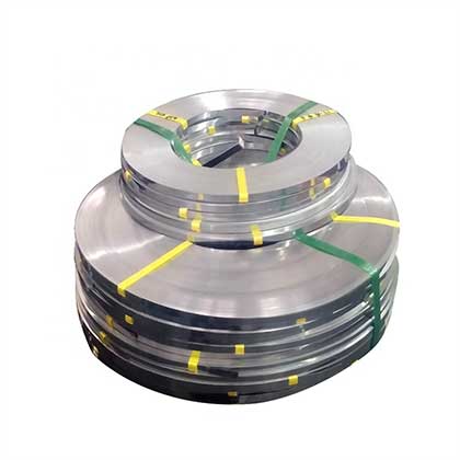 Stainless Steel Strip